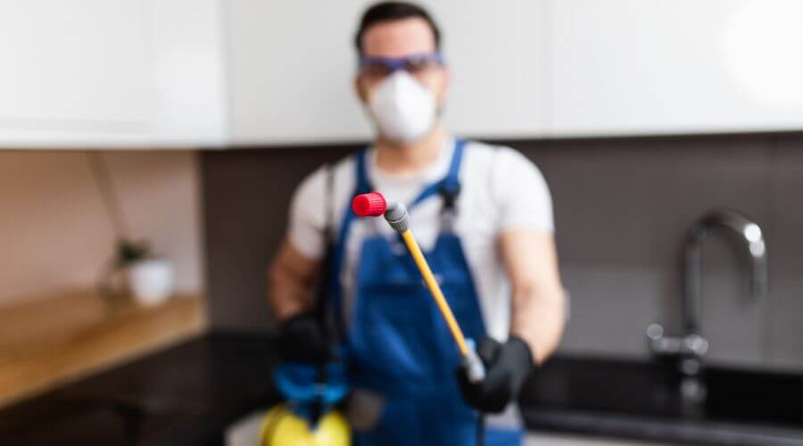 Why choose Bed Bug Heat Treatment Leicester for bed bug heat treatment in Massachusetts